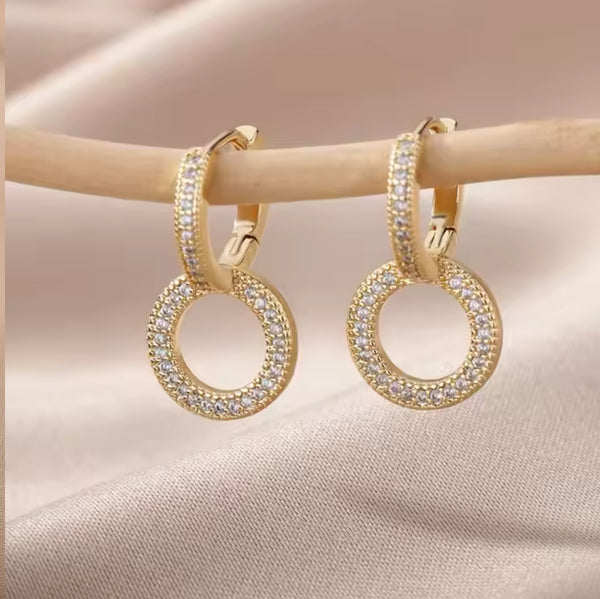 Elegant Gold Hoop Earrings