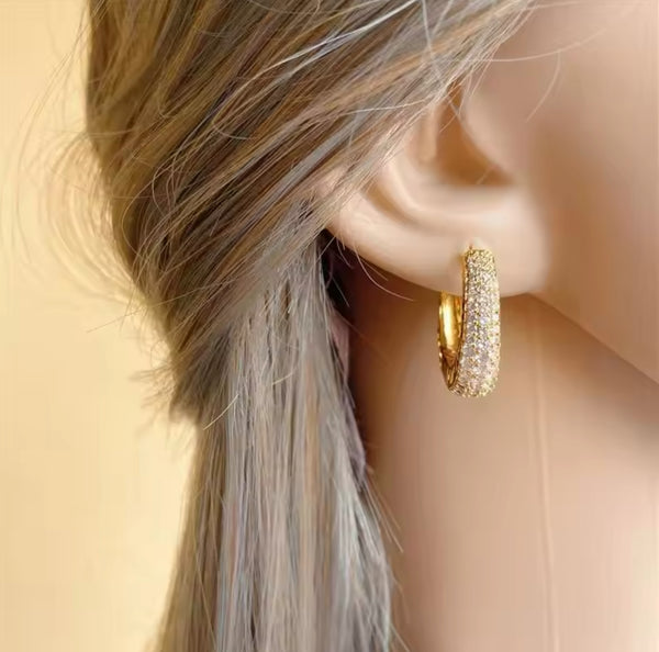 Elegant Gold Hoop Earrings