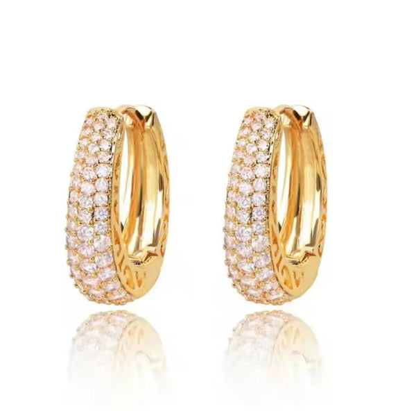 Elegant Gold Hoop Earrings